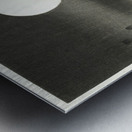 Rabbit at full moon 1900 - 1930 by Ohara Koson 1877-1945. Metal print