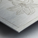 Rabbit at full moon 1900 - 1930 by Ohara Koson 1877-1945. Metal print