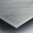 Hunting hawk 1900 - 1910 by Ohara Koson 1877-1945. Metal print