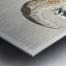 Eagle on a tree branch 1887 - 1930 by Ohara Koson 1877-1945. Metal print