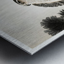 Hawk on pine branch 1900 - 1930 by Ohara Koson 1877-1945. Impression metal