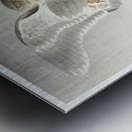 Two ducks at full moon 1900 - 1930 by Ohara Koson 1877-1945. Metal print