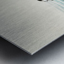 Large coot sandpipers 1900 - 1930 by Ohara Koson 1877-1945. Metal print