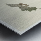 Crossbill on tree branch 1900 - 1910 by Ohara Koson 1877-1945. Metal print