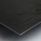 Two egrets in the reeds 1900 - 1930 by Ohara Koson 1877-1945. Metal print