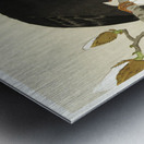 Myna on Magnolia Branch 1900 - 1910 by Ohara Koson 1877-1945. Metal print