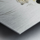 Three ducks in shallow water with reeds 1900 - 1930 by Ohara Koson 1877-1945. Metal print