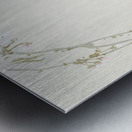 Couple pheasants and cherry blossom 1900 - 1936 by Ohara Koson 1877-1945. Metal print