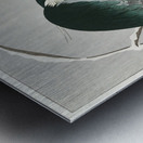 Heron in snow 1920 - 1930 by Ohara Koson 1877-1945. Metal print