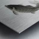 Three carps 1877-1945 by Ohara Koson 1877-1945. Impression metal