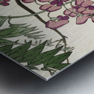 Blooming wisteria 1900 - 1930 by Ohara Koson1877-1945. Metal print