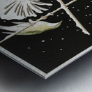 Siberian bluechat next to a peony 1925 - 1936 by Ohara Koson 1877-1945. Metal print