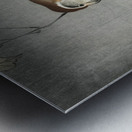 Buffalo wing shrike and spider 1900 - 1930 by Ohara Koson 1877-1945. Metal print