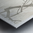 Eagle on tree branch 1900 - 1910 by Ohara Koson 1877-1945. Metal print