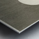 Blooming plum blossom at full moon 1900-1936 by Ohara Koson 1877-1945. Metal print