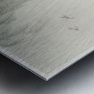 Two women in the rain 1925 - 1936 by Ohara Koson 1877-1945. Metal print