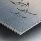 Five seagulls above the sea 1900 - 1945 by Ohara Koson 1877-1945. Metal print