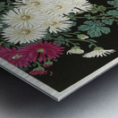 Chrysanthemums 1925-1936 by Ohara Koson 1877-1945. Metal print