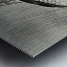 Cuckoo in storm 1925 - 1936 by Ohara Koson 1877-1945. Metal print