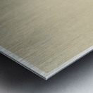 Bird and caterpillar 1900 - 1930 by Ohara Koson 1877-1945. Metal print