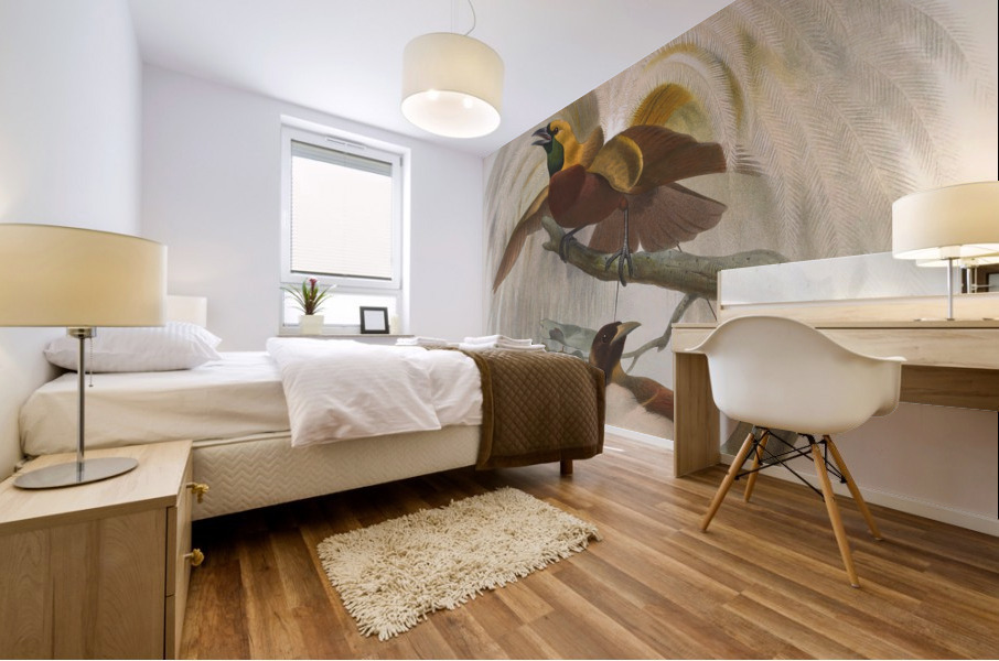 Paradisea minor 1873 Mural print