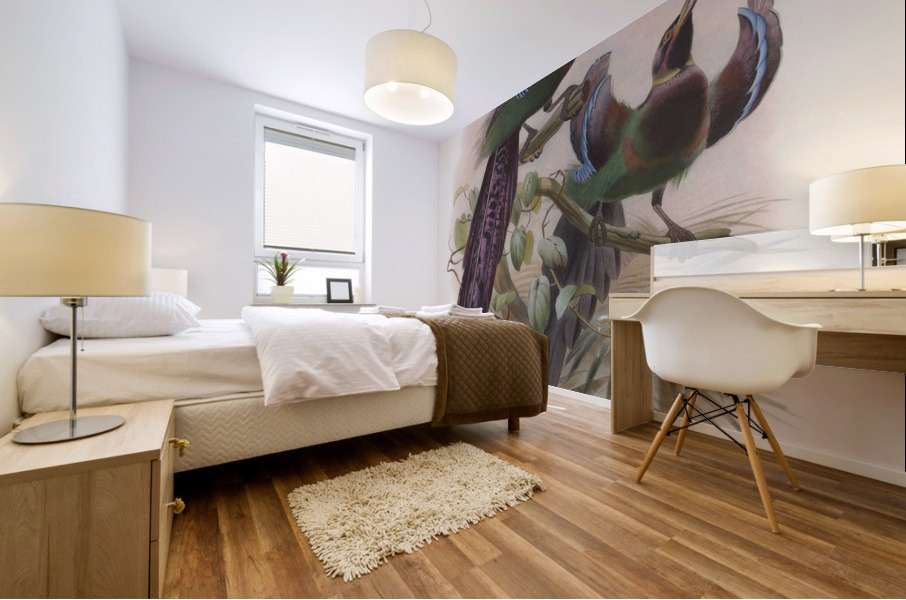 Epimachus Ellioti 1873 Mural print