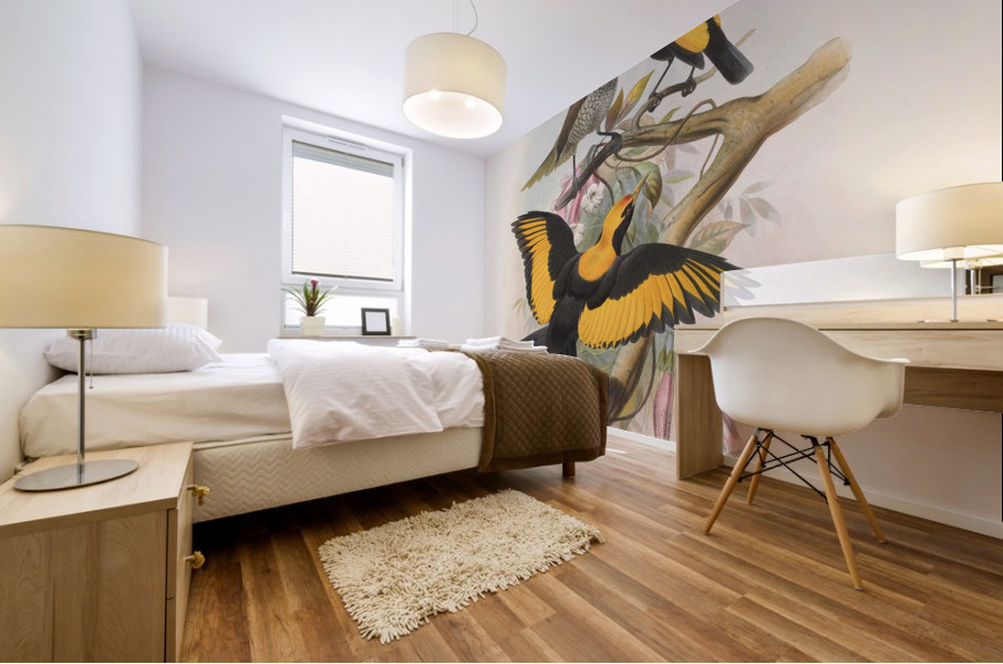 Sericulus melinus 1873 Mural print