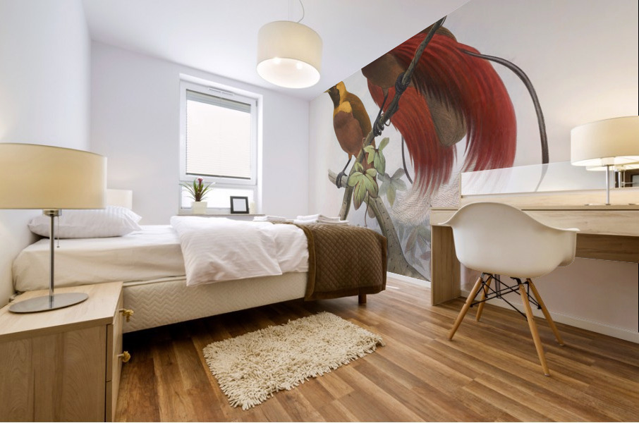 Paradisea sanguinea 1873 Mural print