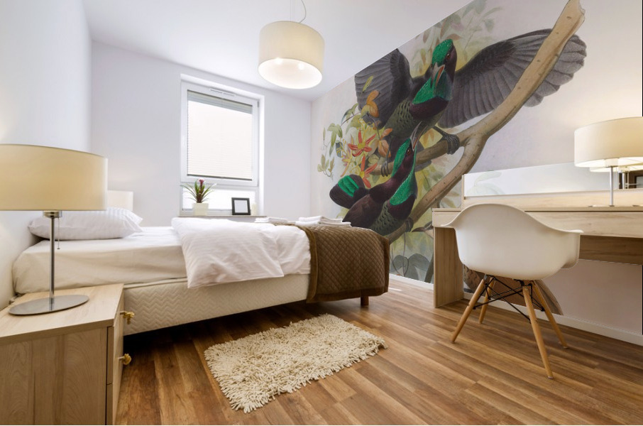 Ptiloris Victorie 1873 Mural print