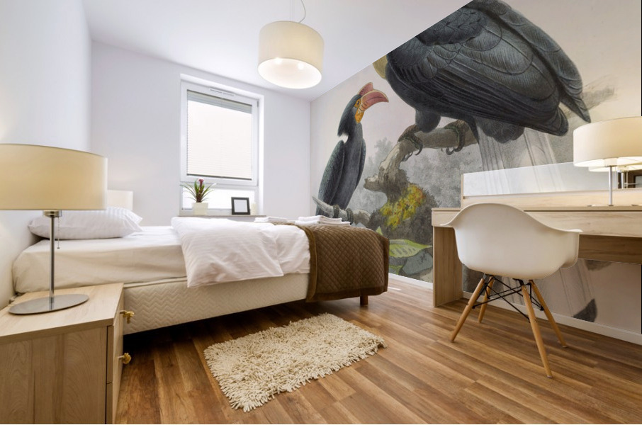 Cranorrhinus leucocephalus 1882 Mural print