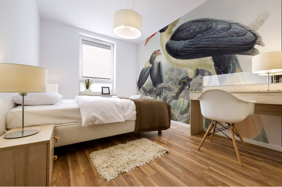 Penelopides affinis 1882 Mural print