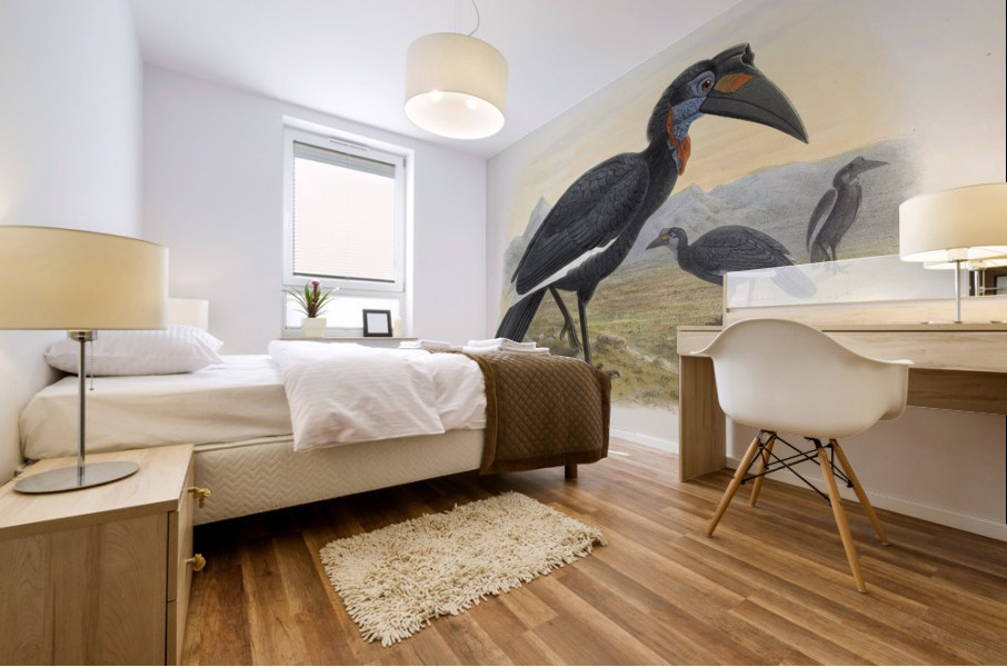 Bucorvus abyssinicus 1882 Mural print