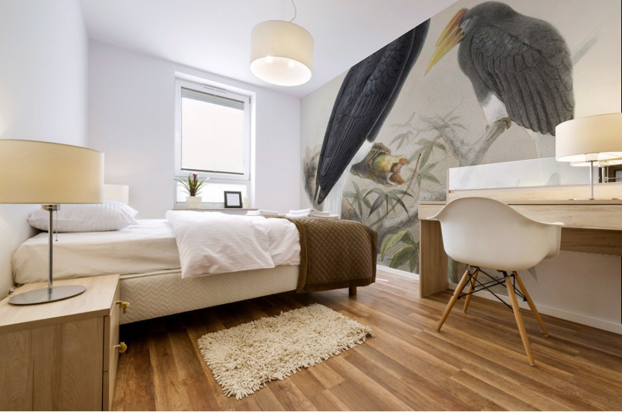 Buceros sylvestris 1882 Mural print