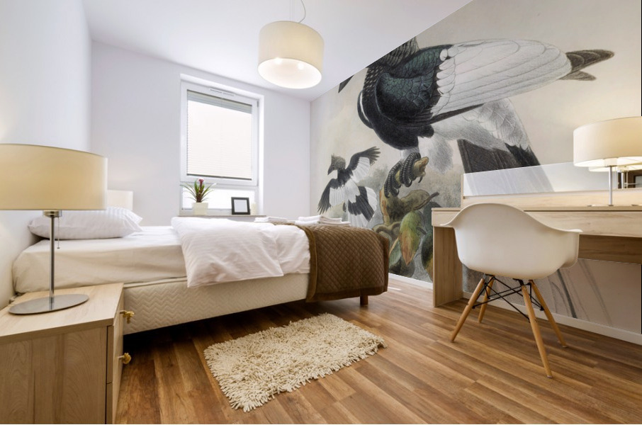 Bycanistes subcylindricus 1882 Mural print