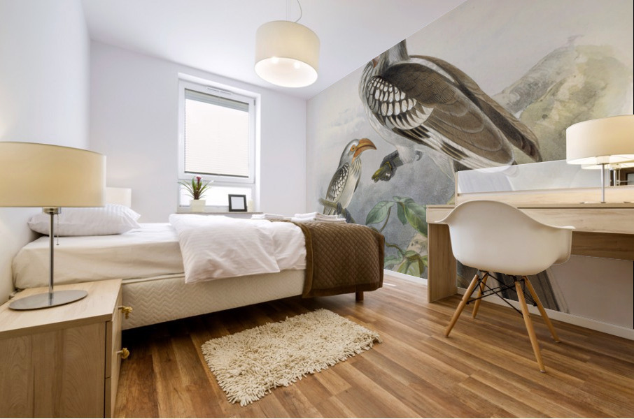 Tockus flavirostris 1882 Mural print