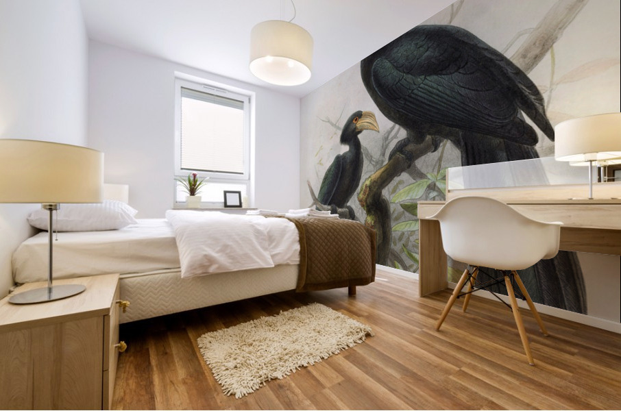 Hydrocissa exarhatus 1882 Mural print