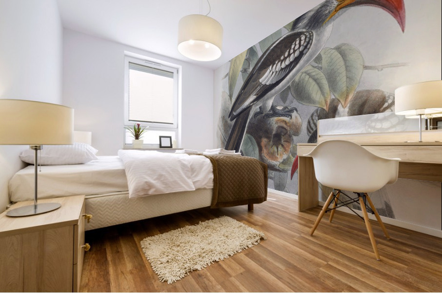 Tockus erythrorhynchus 1882 Mural print