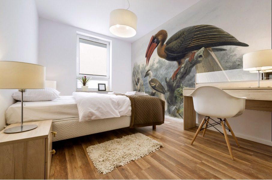 Hydrocorax planicornis 1882 Mural print