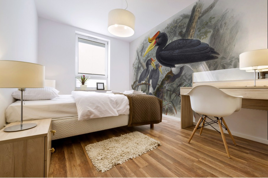 Buceros rhinoceros 1882 Mural print