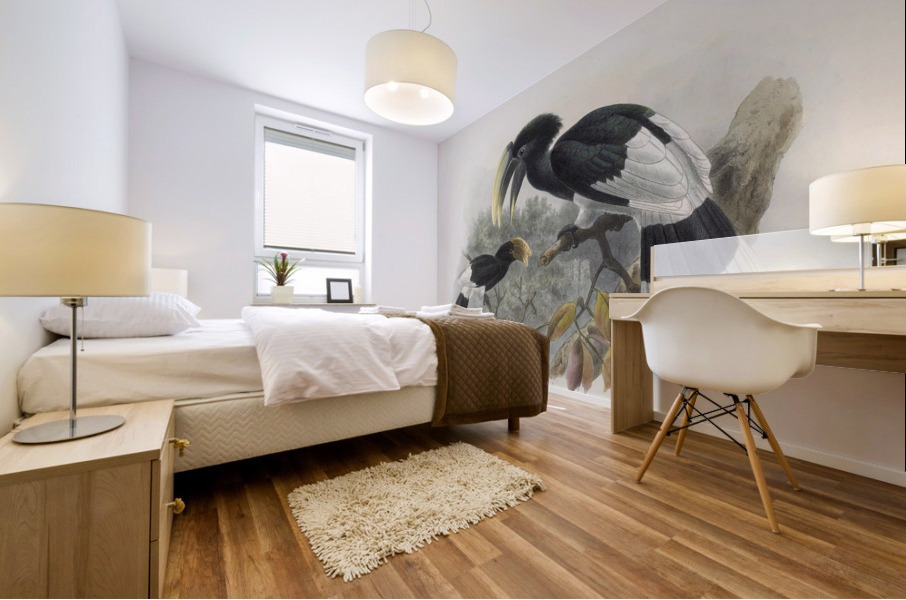 Bycanistes albotibialis 1882 Mural print