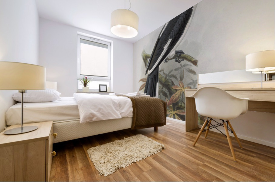 Tockus deckeni 1882 Mural print