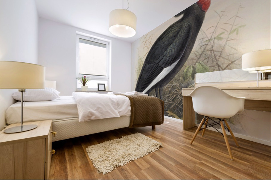 Bucorvus cafer 1882 Mural print