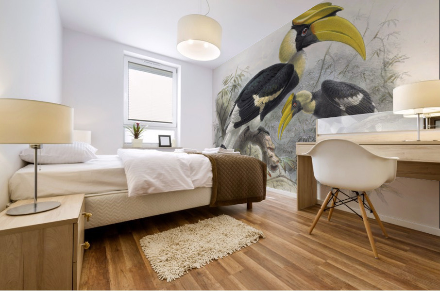 Dichoceros bicornis 1882 Mural print