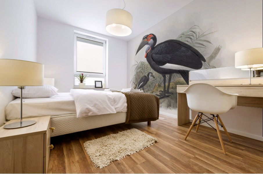 Bucorvus pyrrhops 1882 Mural print