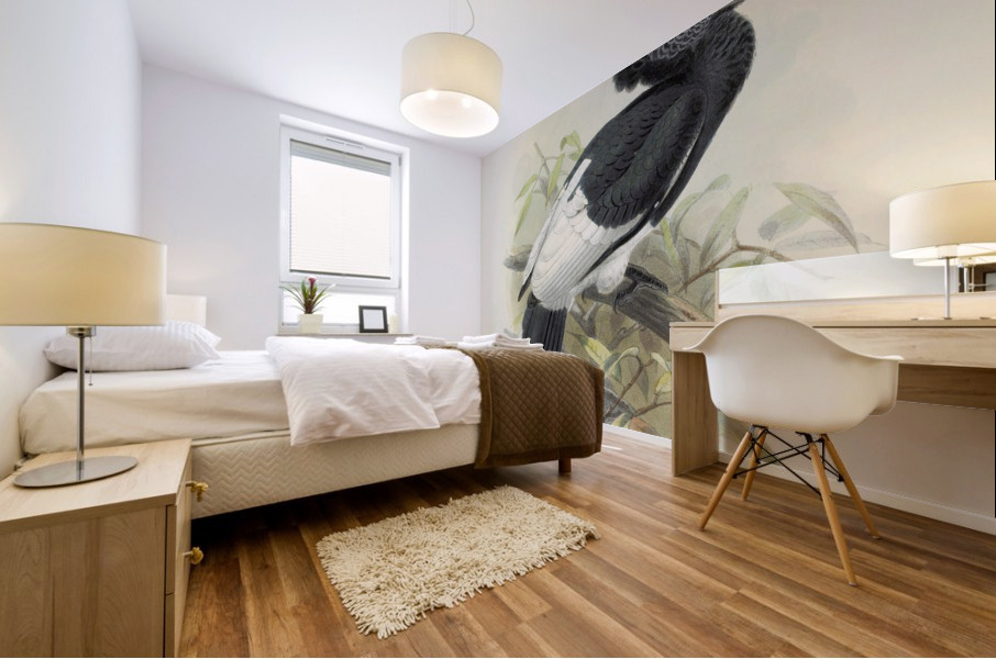 Bycanistes subquadratus 1882 Mural print