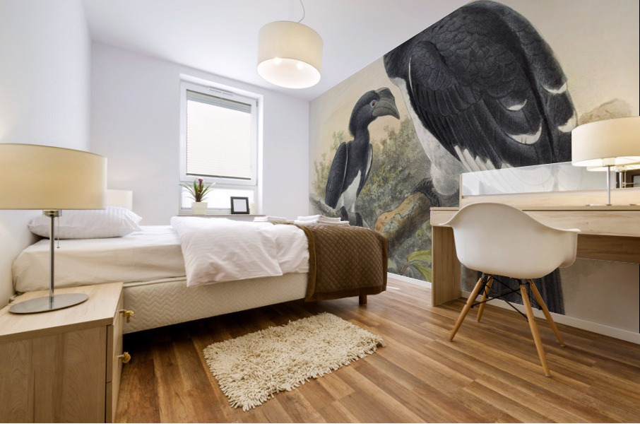 Bycanistes buccinator 1882 Mural print