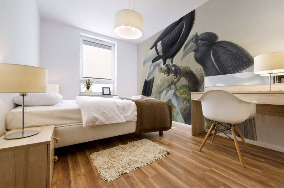 Bycanistes cylindricus 1882 Mural print