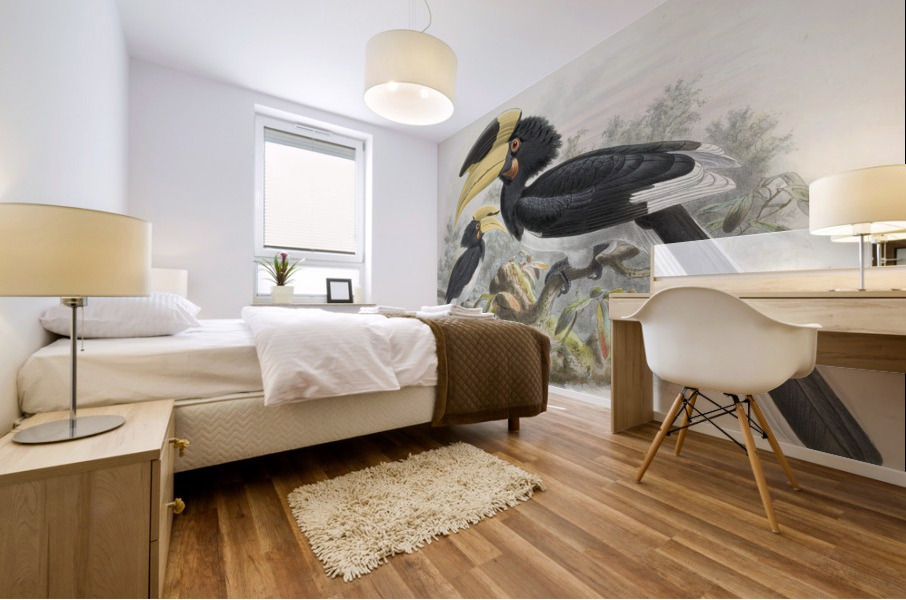 Anthracoceros coronatus 1882 Mural print