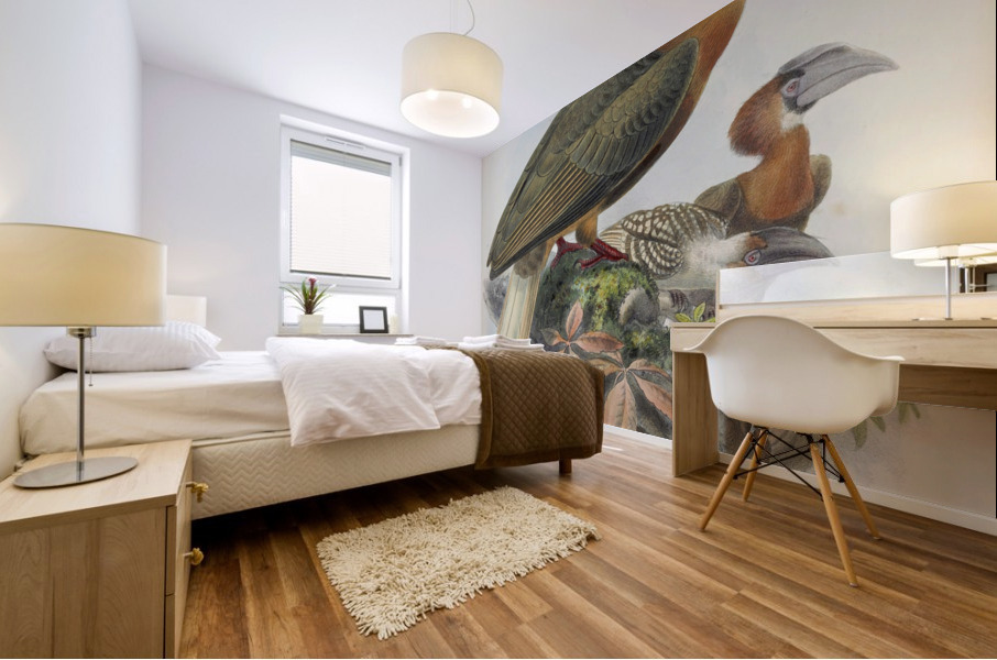 Hydrocorax semigaleatus 1882 Mural print