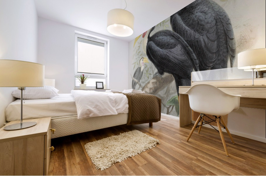 Cranorrhinus corrugatus 1882 Mural print